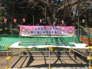 上野公園桜2017⑤