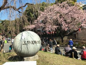 上野公園桜2017⑫