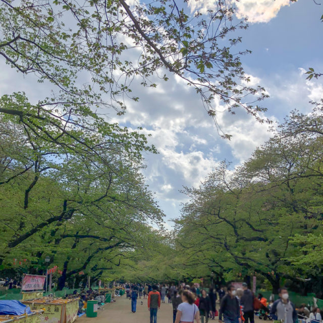 上野公園桜並木_20180408