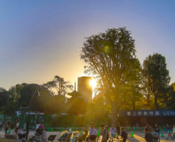 上野公園夕日が綺麗
