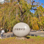 秋が深まり紅葉が見え始めた『上野恩賜公園』