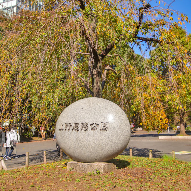 上野公園紅葉１