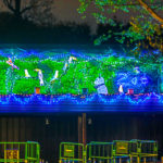 『上野動物園』入口のイルミネーション、『冬桜イルミネーション』は⁉️