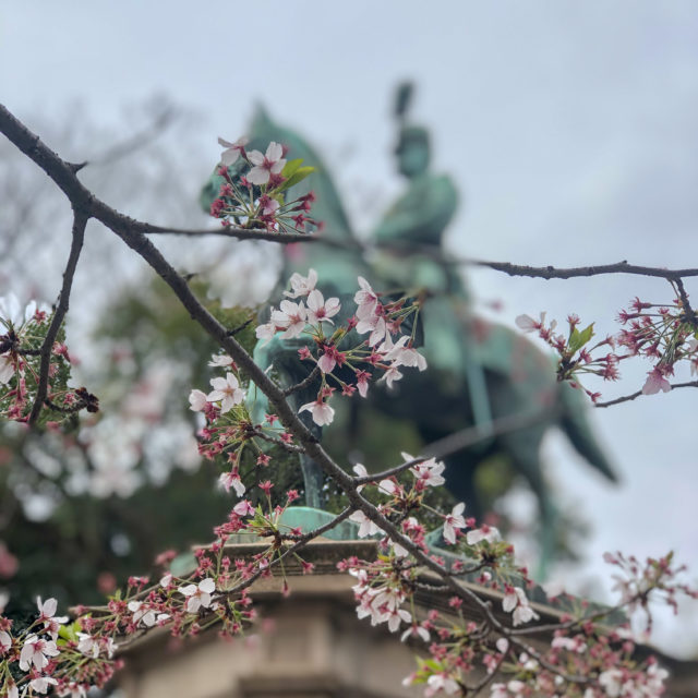 小松宮彰仁親王像と桜