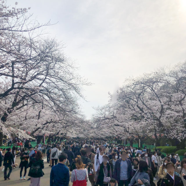 上野公園桜_20200322_01