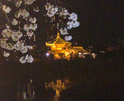 上野公園桜_20200322_05