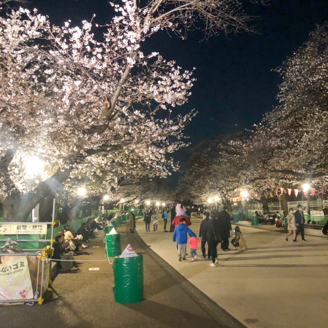 上野公園桜_20200322_04