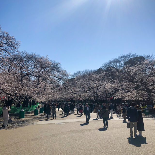 上野公園桜_20200324_07