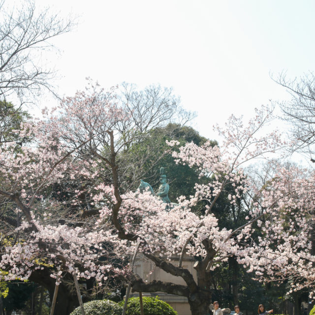 上野公園桜_20200320_08