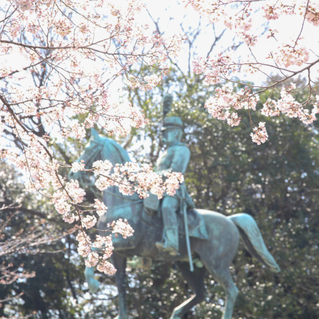 上野公園桜_20200320_05