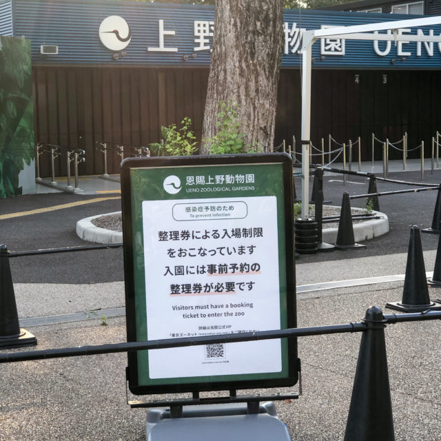 上野動物園再開2
